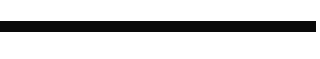 Spacerok Logo